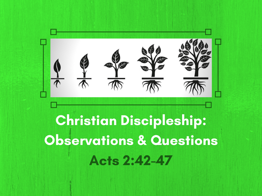 Christian Discipleship: Questions and Observations Image
