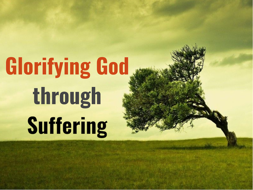 Living Out a Correct Theology of Suffering (1 Peter 2:18-25) Image