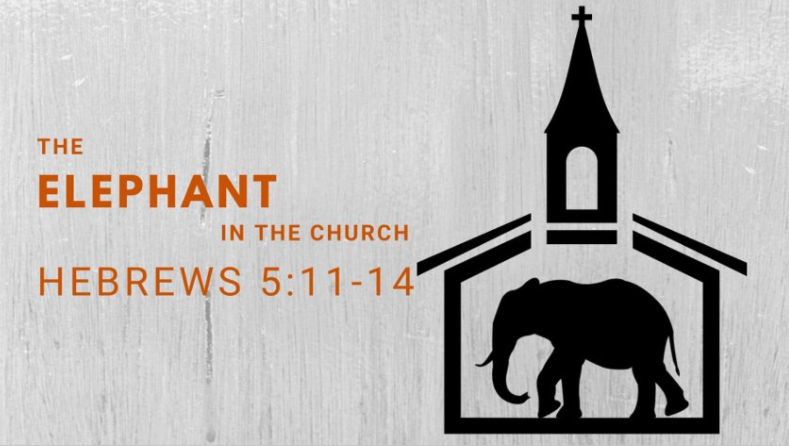 The Elephant in the Church (Hebrews 5:11-14) Image