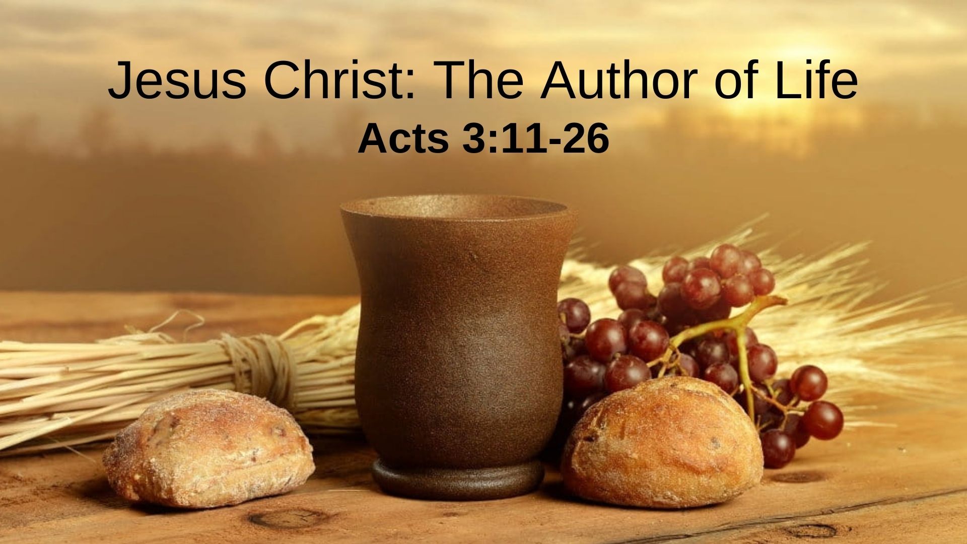 Jesus Christ: The Author of Life (Acts 3:11-26) Image