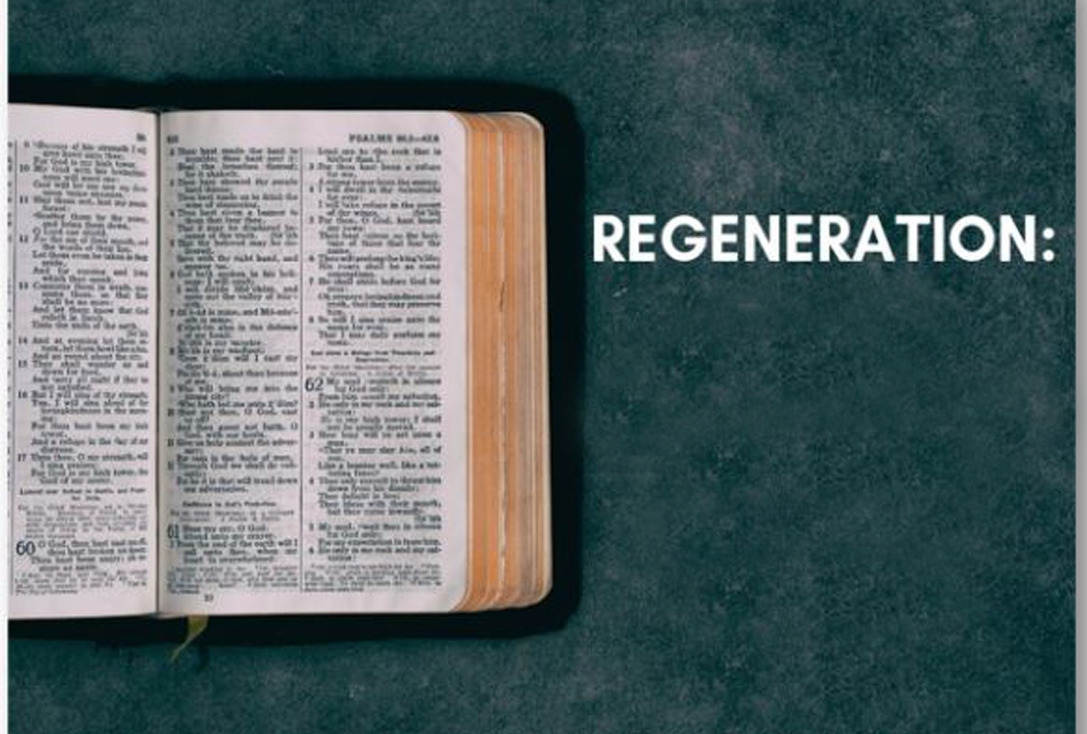 regeneration-bible-doctrines-to-live-by