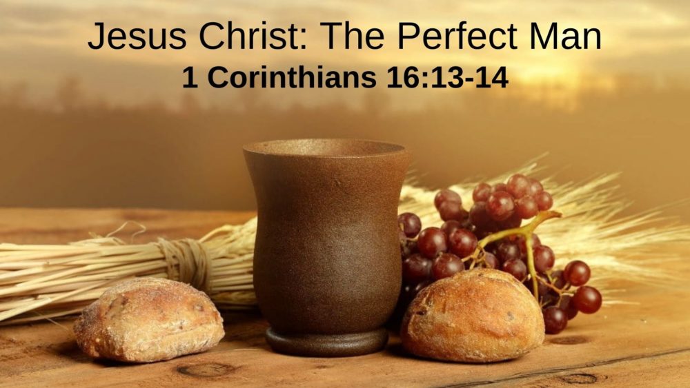 Jesus Christ: The Perfect Man