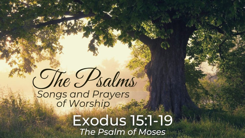The Psalm of Moses Image
