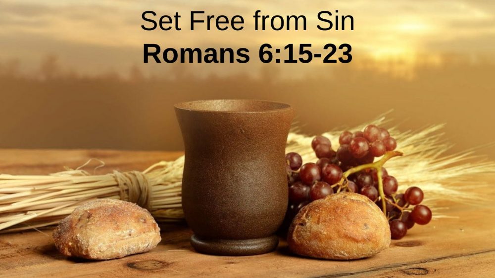 Set Free from Sin