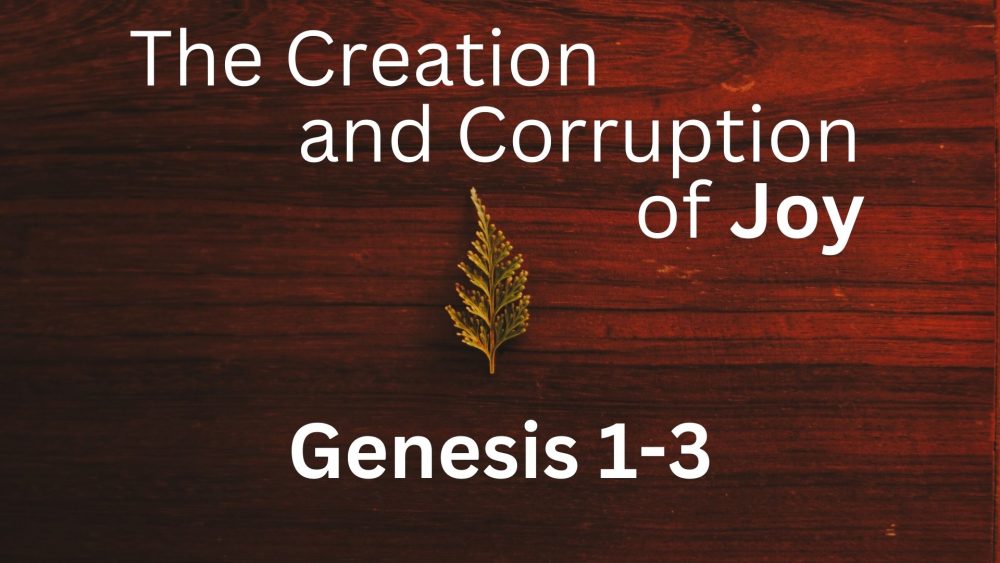 The Creation and Corruption of Joy Image