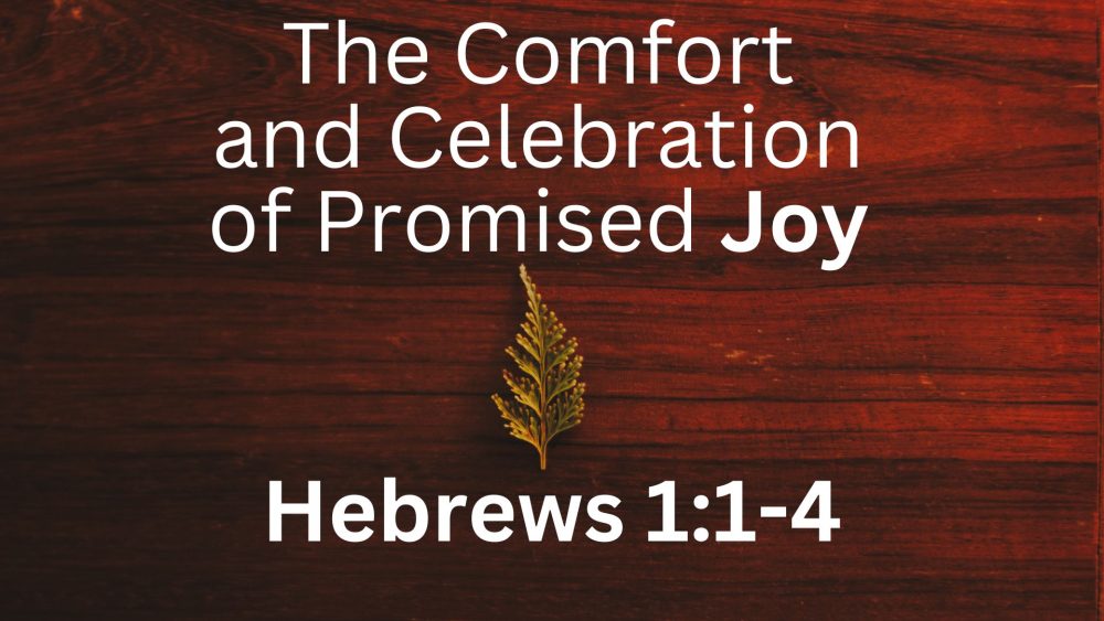 The Comfort and Celebration of Promised Joy