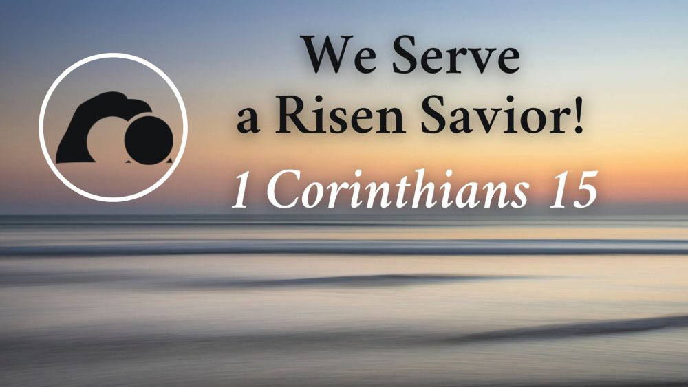 We Serve a Risen Savior! Image