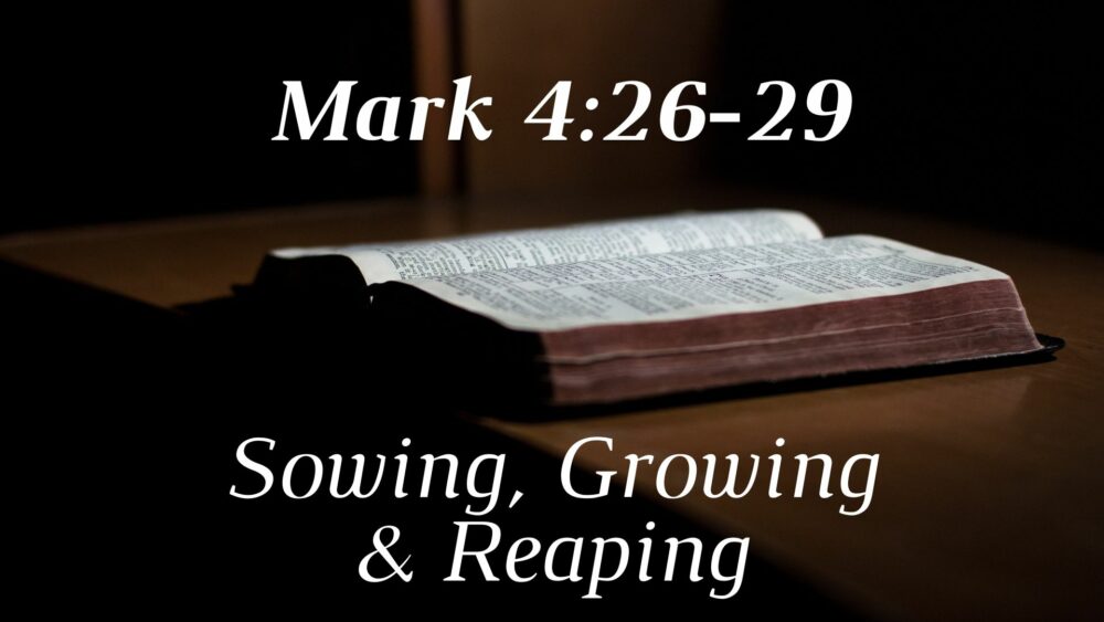 Sowing, Growing & Reaping Image