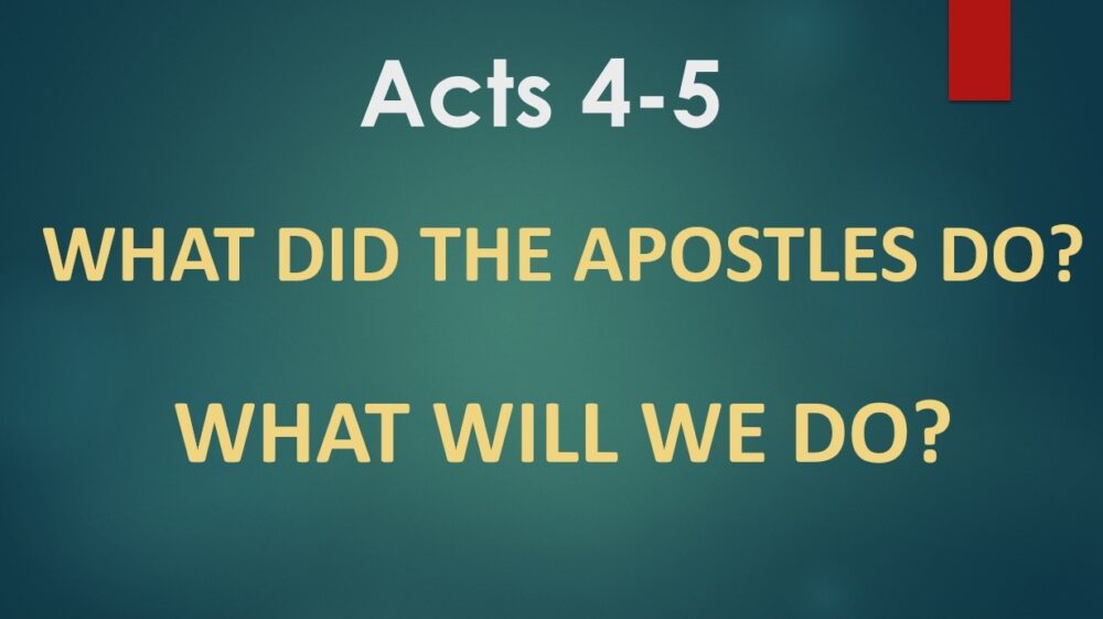 What Did the Apostles Do? What Will We Do? Image