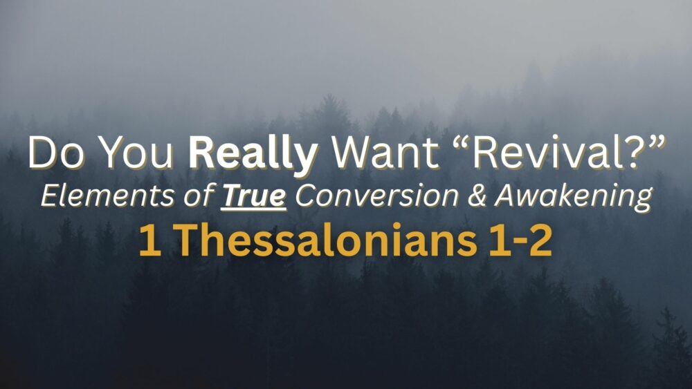 Do You Really Want Revival? Image